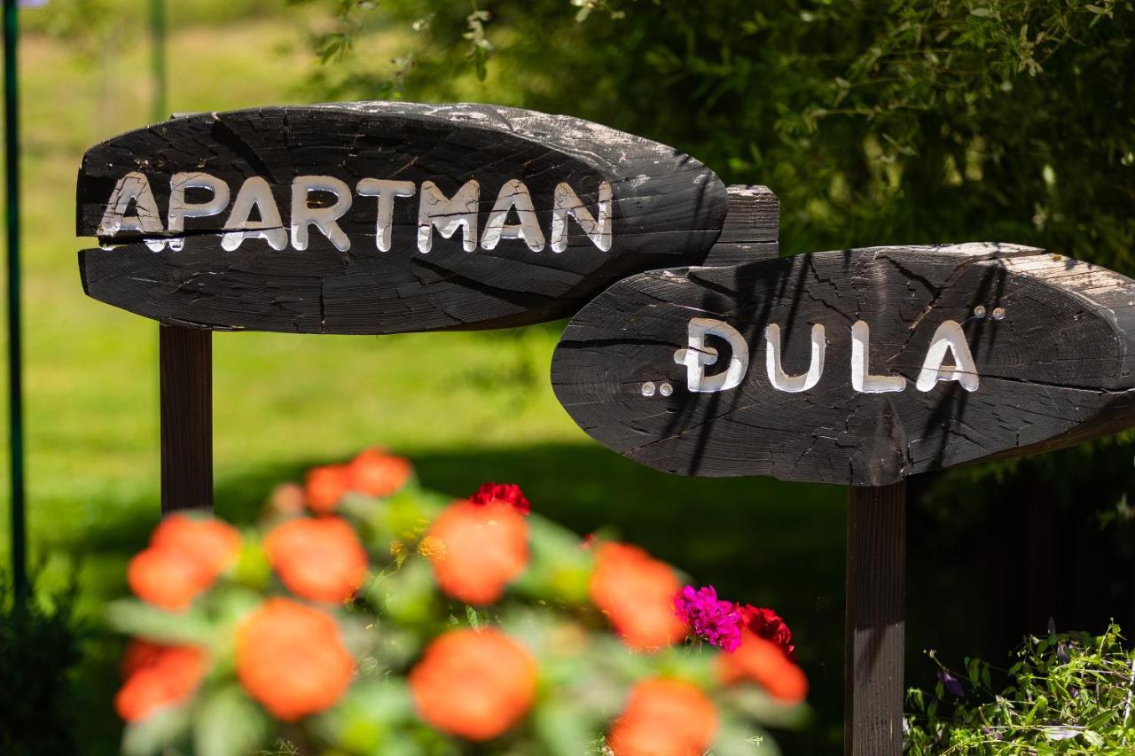 Soba I Apartman Dula Ogulin Exterior foto